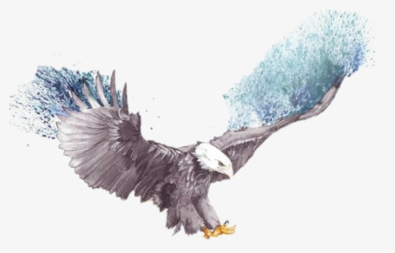 Flying Eagle Eagle Sketch , Png Download - Transparent Eagle Flying Png, Png Download, Free Download