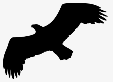 Eagle Silhouette Png Clip Artu200b Gallery Yopriceville - Clipart Black And White Silhouette Eagle, Transparent Png, Free Download