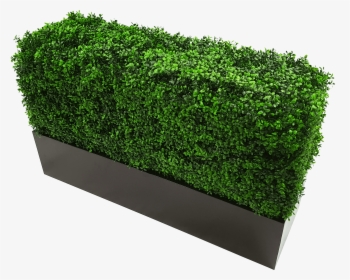 Metal Planter For Artificial Hedges - Metal Planter Box, HD Png Download, Free Download