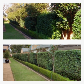 Yard, HD Png Download, Free Download