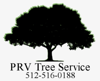 Silhouette Tree Vector Png, Transparent Png, Free Download
