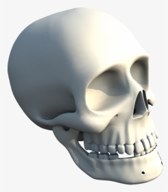 The Skull Of Human - Skull, HD Png Download, Free Download