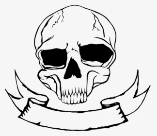 Skull Nose Human Skeleton Bone Free Commercial Clipart - Skull Nose Drawings, HD Png Download, Free Download