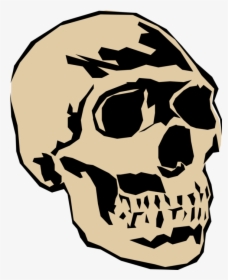 Vector Illustration Of Human Skull Head - Skull, HD Png Download, Free Download