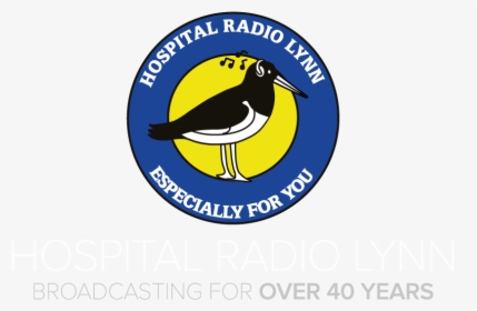 Hospital Radio Lynn - Skate Park Of Tampa, HD Png Download, Free Download