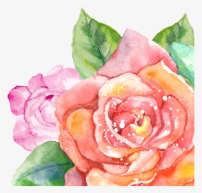 Rose Clipart Watercolor - Watercolor Summer Flowers Png, Transparent Png, Free Download
