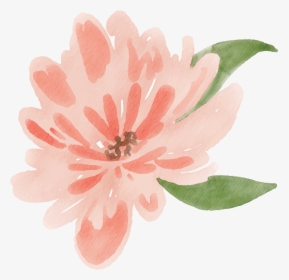 Peach Water Color Flower, HD Png Download, Free Download