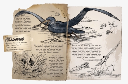 Ark Dino Dossier Pelagornis, HD Png Download, Free Download