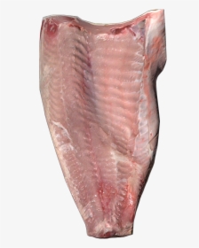Rawfillet - Fish, HD Png Download, Free Download