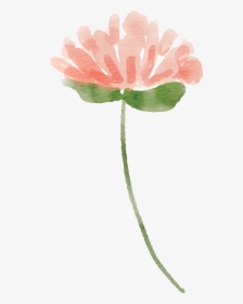 Cute Watercolor Flowers Png, Transparent Png, Free Download
