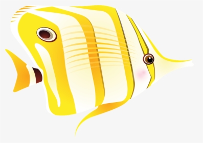 Tropical Fish With Long Nose, HD Png Download, Free Download