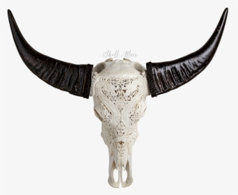 Buffalo Skull Png, Transparent Png, Free Download