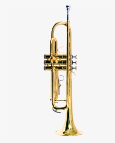 Saxofones Tenor J Mitchell, HD Png Download, Free Download