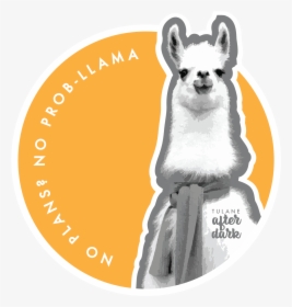 Alpaca With A Scarf, HD Png Download, Free Download