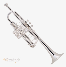 Bach Stradivarius "chicago\ - Earrings, HD Png Download, Free Download