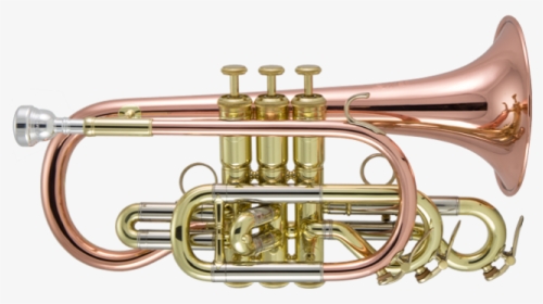 Cornet, HD Png Download, Free Download