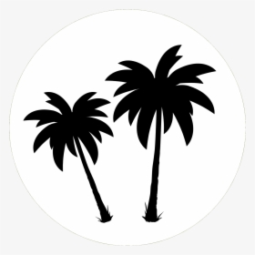 Palm Trees Clip Art Black & White - Palm Trees Clip Art Black And White, HD Png Download, Free Download
