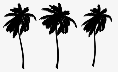 Palm Tree Png Colorful, Transparent Png, Free Download