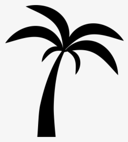 Palm Tree - Palm Tree Icon Png, Transparent Png, Free Download