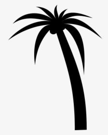 palm tree black and white outline