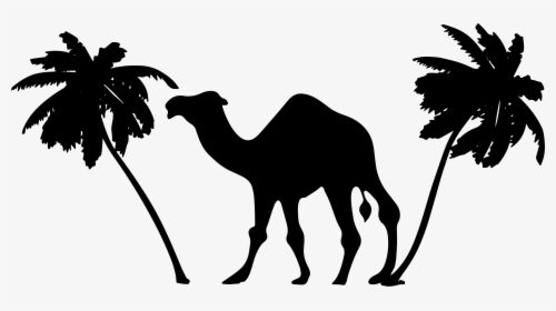 Camel Palm Trees Silhouette Clip Arts - Camel And Palm Tree, HD Png Download, Free Download