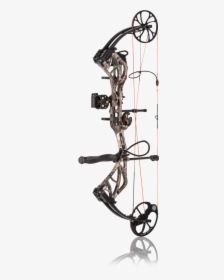 Glauber"s Sports Carrollton, Ky Crossbows - Bear Species Compound Bow, HD Png Download, Free Download