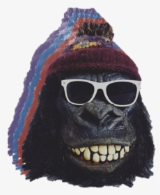Jack"s Record Shack - Monkey, HD Png Download, Free Download