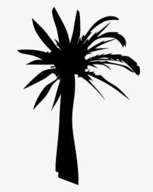 Palm Tree, Silhouette, Summer, Heat, Black, HD Png Download, Free Download