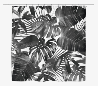 Wild Palm Shower Curtain - Plant Black And White, HD Png Download, Free Download