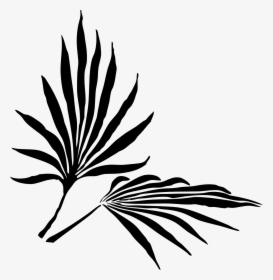 Black Palm Tree Png, Transparent Png, Free Download