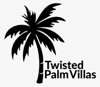 We Buy Sea Side And Start Drawing Twisted Palm Villas - White Palm Tree On Transparent Background, HD Png Download, Free Download