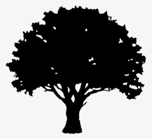 Silhouette Maple Tree Clipart, HD Png Download, Free Download