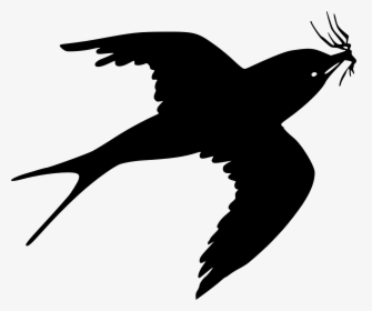 House Sparrow Clip Art - Black Sparrow Png, Transparent Png, Free Download