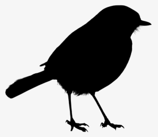 Bird Silhouette - Transparent Background Bird Silhouette, HD Png Download, Free Download