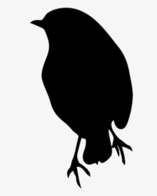 Transparent Sparrow Silhouette Png - Robin Clipart Black And White, Png Download, Free Download