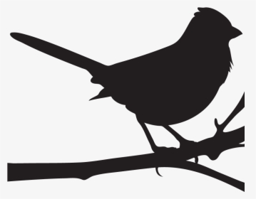 Transparent Sparrow Silhouette Png - Mockingbird Silhouette Transparent, Png Download, Free Download
