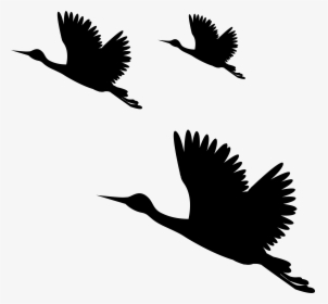 Transparent Sparrow Silhouette Png - Full Hd Png Images For Editing, Png Download, Free Download