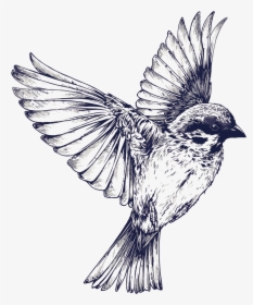 Bird Flight Tattoo Drawing Swallow - Black And White Bird Tattoo, HD Png Download, Free Download