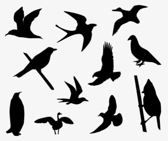 Birds Sparrows Doves Free Picture - Cartoon Bird Silhouette, HD Png Download, Free Download