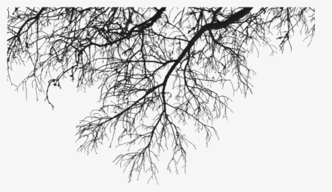 Branch Deco Up Clip Arts - Branches Of Trees Png, Transparent Png, Free Download