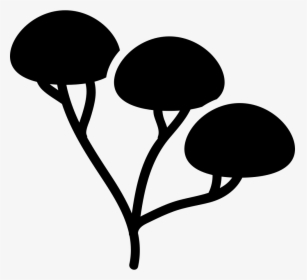Tree Of Three Branches And Foliage Areas Vector - 3 Tree Branches, HD Png Download, Free Download