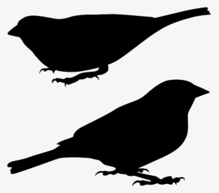 Silhouette Moineau, HD Png Download, Free Download