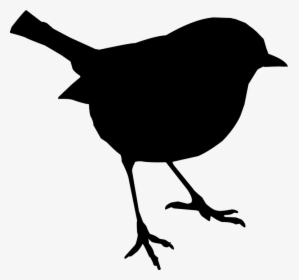 Bird, Stand, Silhouette, Nature, Bird Life - Bird Svg, HD Png Download, Free Download