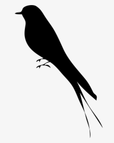Mockingbird Silhouette Png, Transparent Png, Free Download