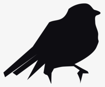 Crow Like Bird,rook,silhouette - American Crow, HD Png Download, Free Download