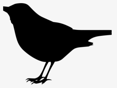 Blackbird Clipart Transparent - Mockingbird Black And White Clipart, HD Png Download, Free Download