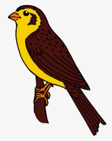 Sparrowhawk Clipart, HD Png Download, Free Download