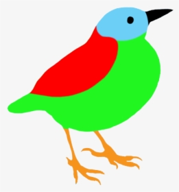 Colorful Bird Silhouette - Bird Silhouette No Background, HD Png Download, Free Download
