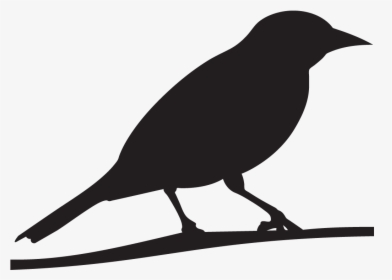 Blackbirds - Oriole Bird Silhouette, HD Png Download, Free Download