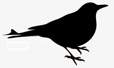 Bird, Blackbird, Sillhouette, Crow, Raven, Robin - Desenhos De Passaros Preto, HD Png Download, Free Download